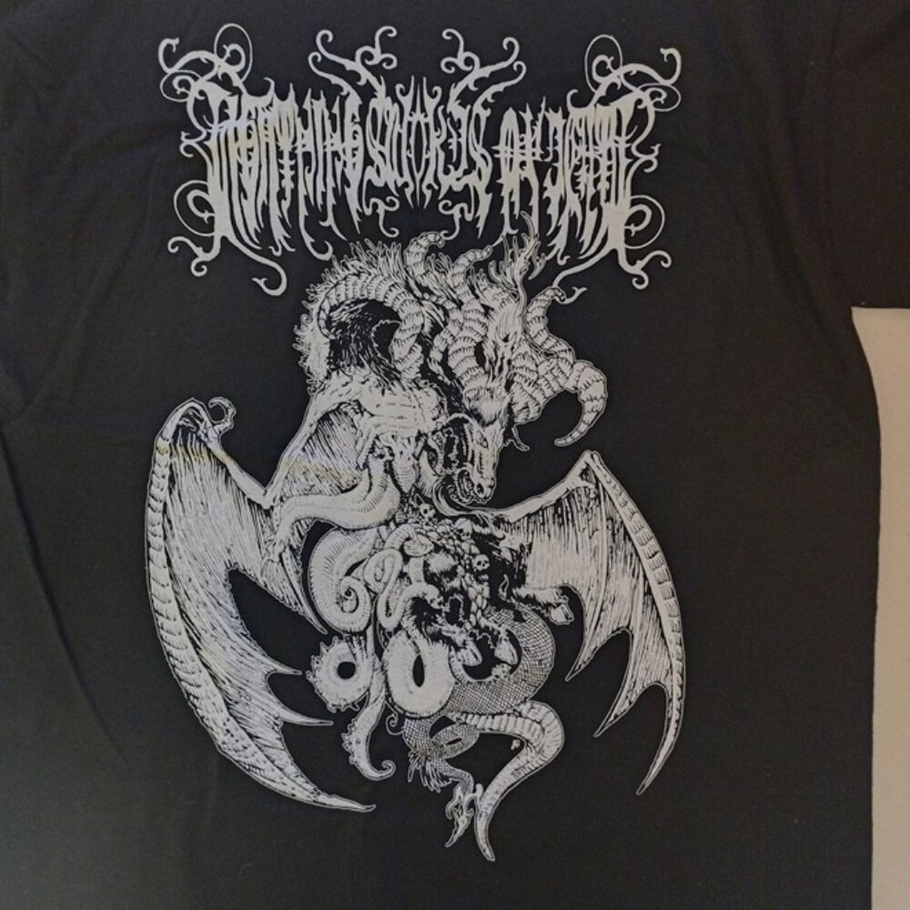 Lightning Swords of Death Metal Blade Records Adult Medium Shirt EUC 2010 dated